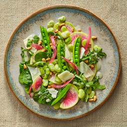 Seasonal Pea and Fava Bean Salad