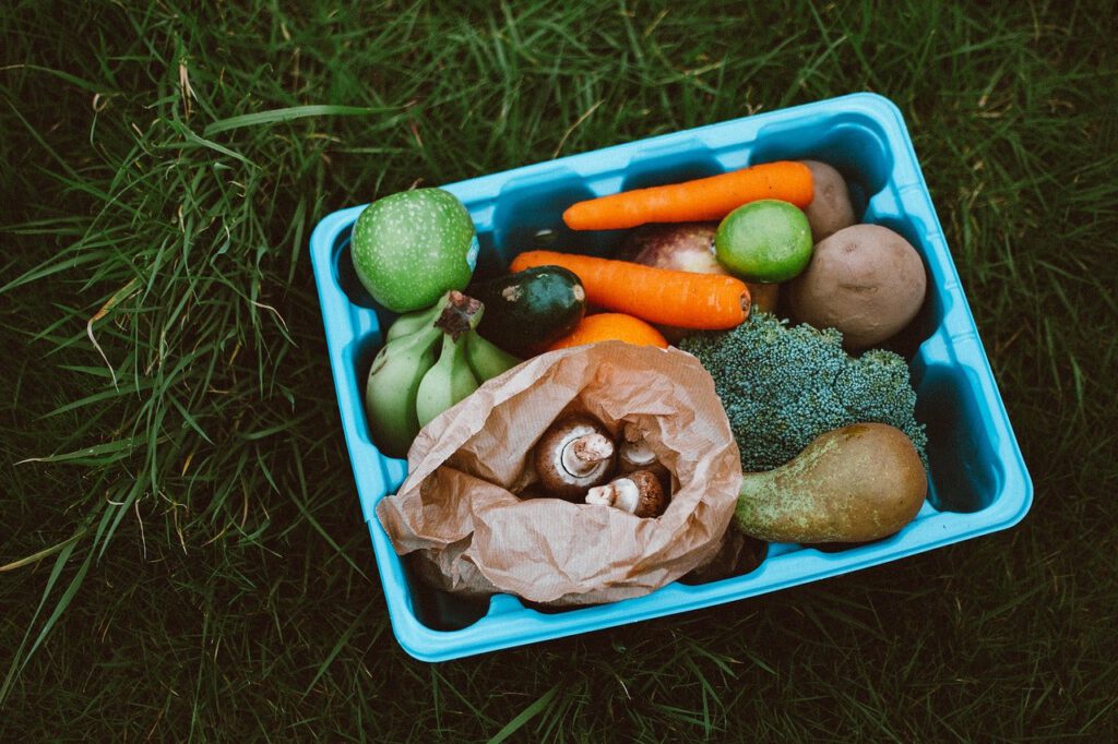 Blue Container With Fruits and Vegetables on Green Grass