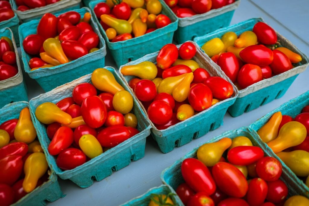 red and yellow tomatoes